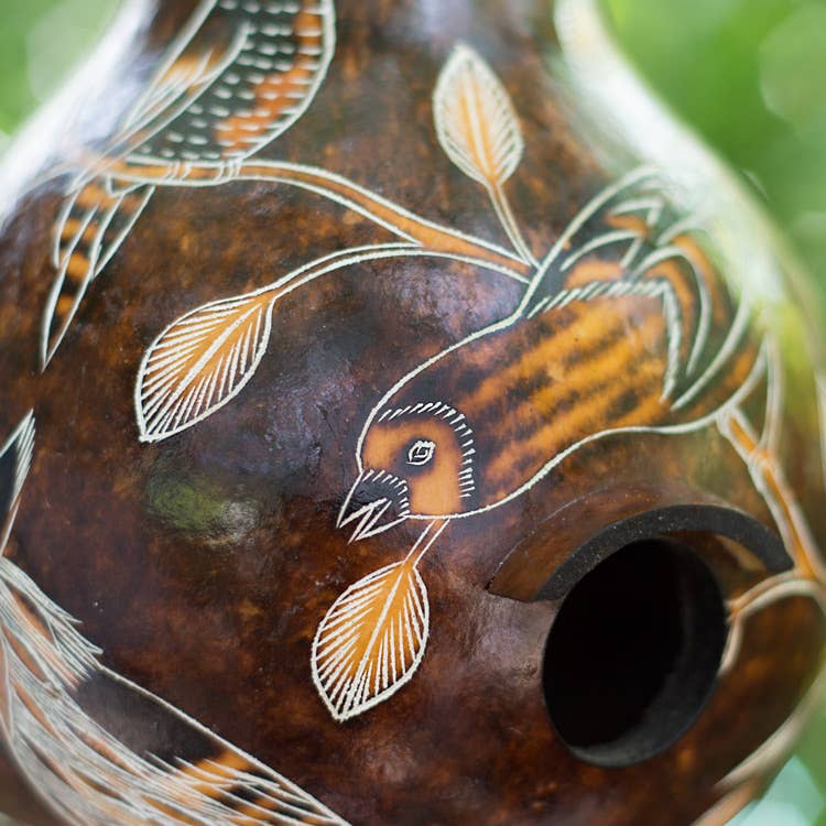 Lucuma Designs - Wholesale Bird House - Birds of North America - Gourd Birdhouse - Artist Made6