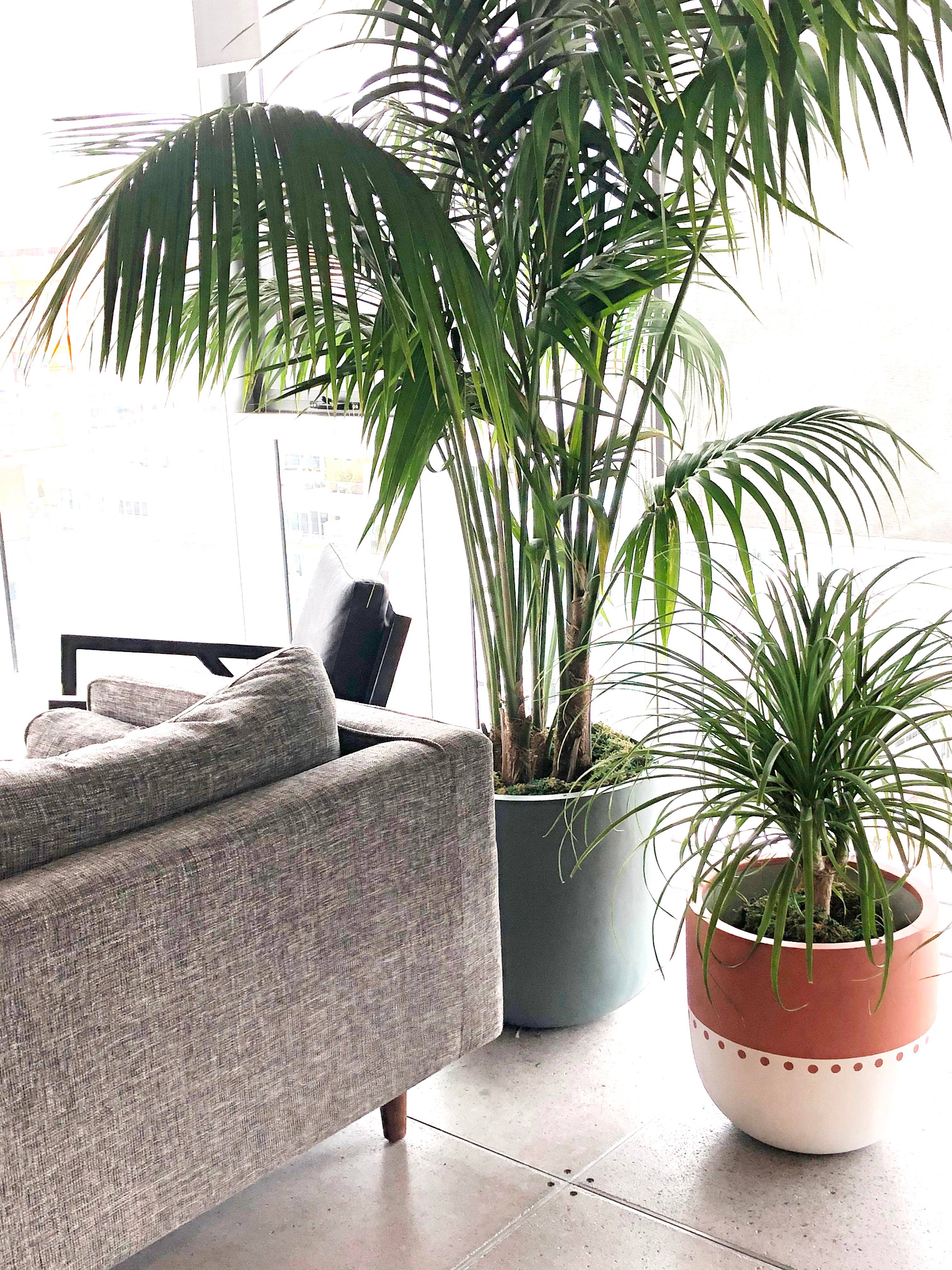 Common House Studio - Vente Pot - POT BOHO | JARDINIÈRE7