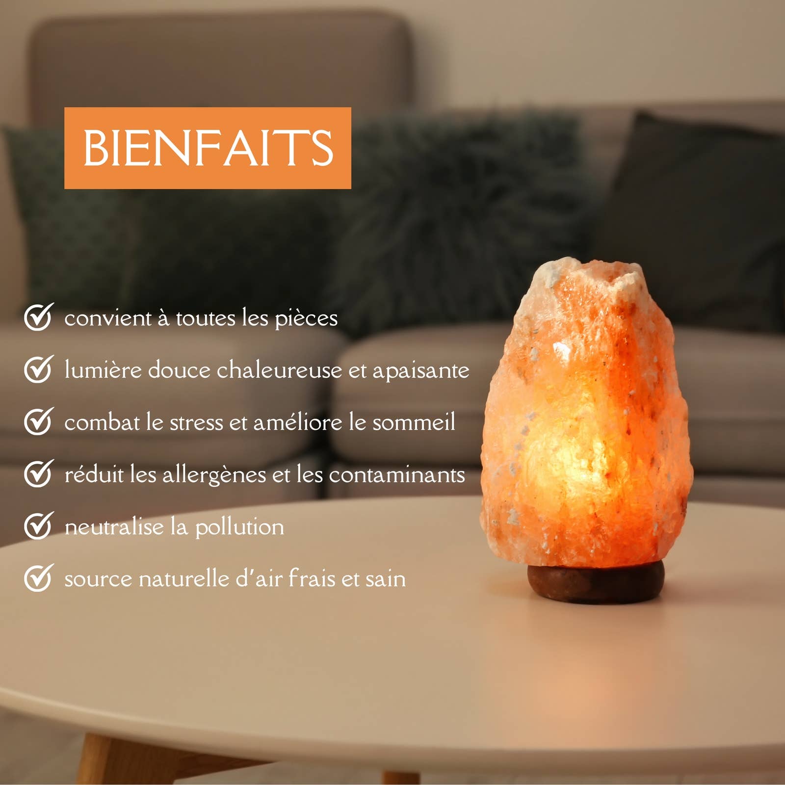 Zen'Arôme - Wholesale Salt Lamp - Himalayan Salt Lamp Raw Shape 2 to 3 kg3