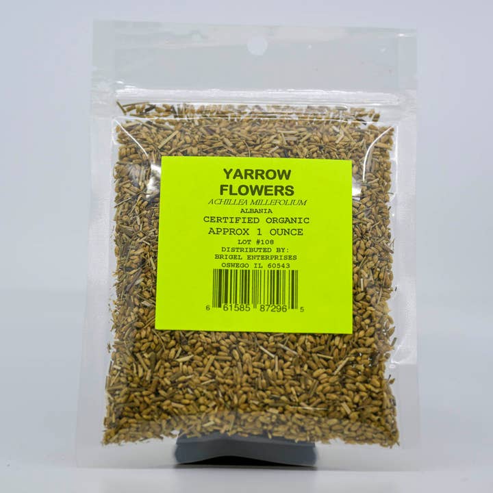 Yarrow Flower for wholesale by Brigel Enterprises