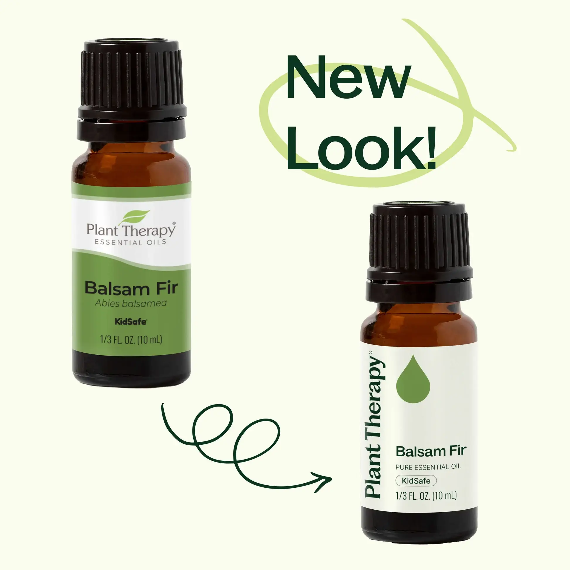 Plant Therapy - Wholesale Essential Oil - Balsam Fir Essential Oil 10mL1