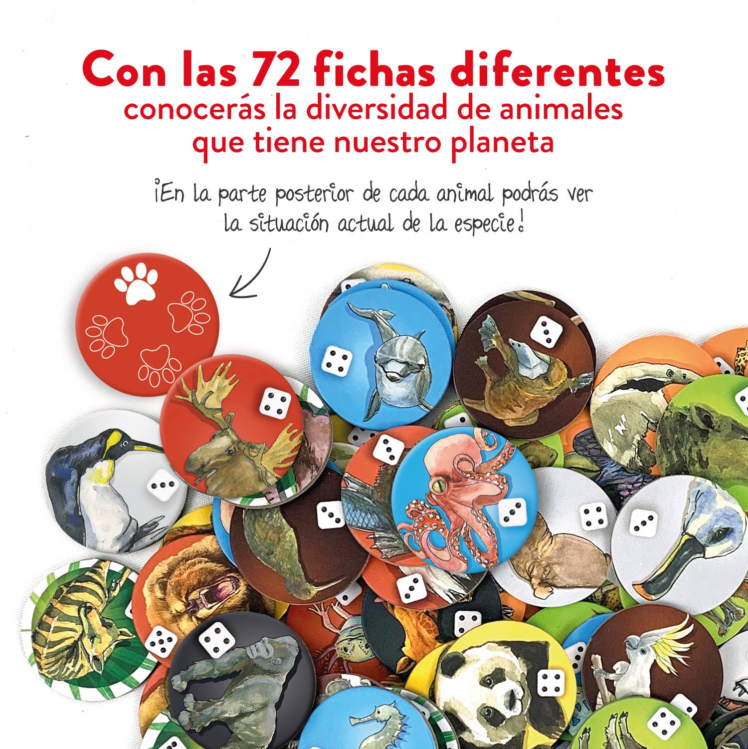 Juegaconmigo - Vente Jeux de société - Safari - Jeu de société stratégique sur les animaux du monde3