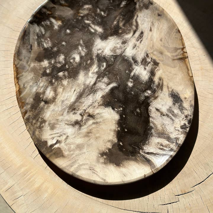 Office Objets - Wholesale Decorative Plate/Dish/Bowl - Very large catchall or dish in petrified wood34