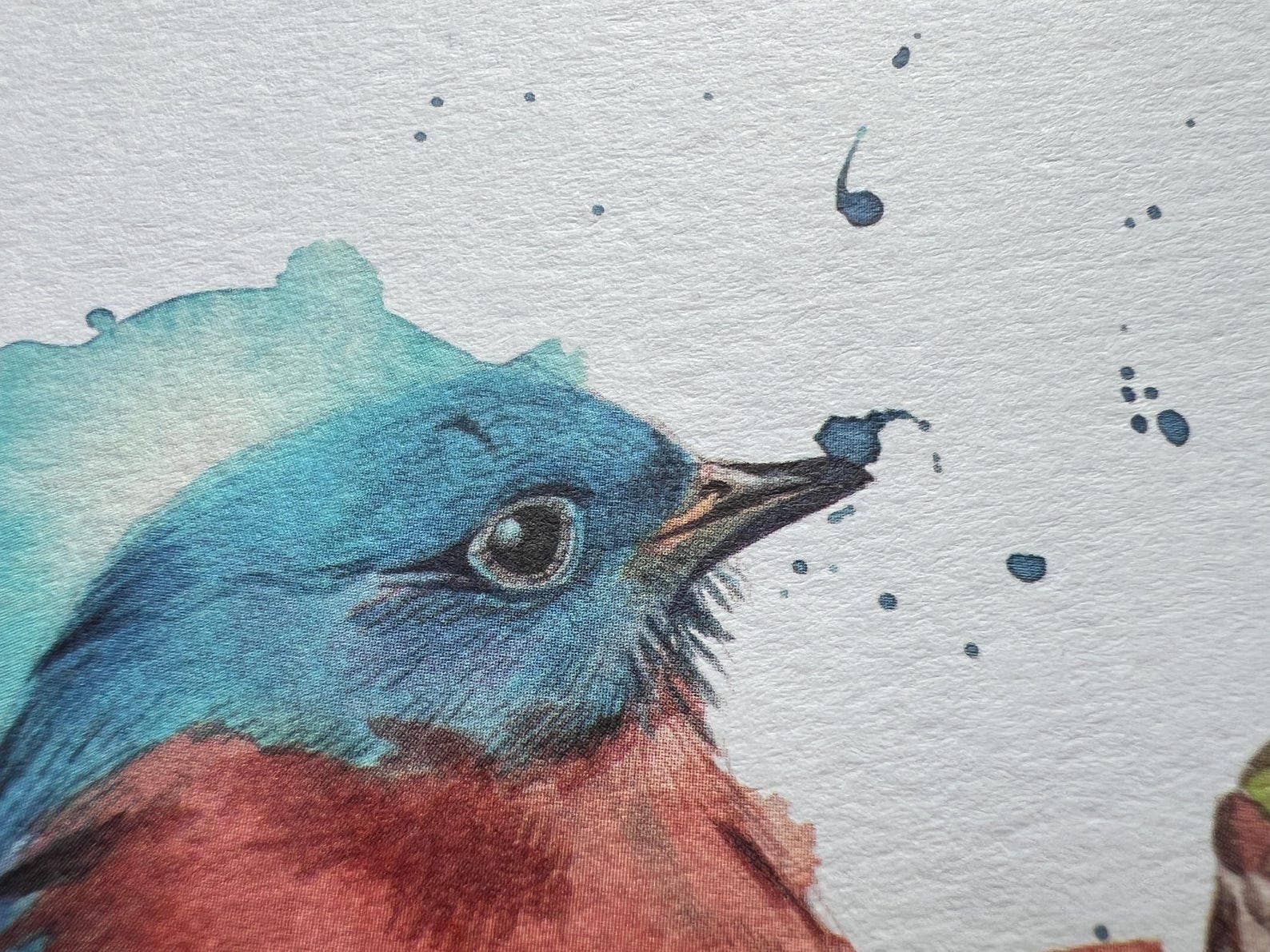 Georgina Doodles - Wholesale Everyday Greeting Card - Eastern Bluebird Greetings Card | Blank card, Bird Art, Watercolour print3