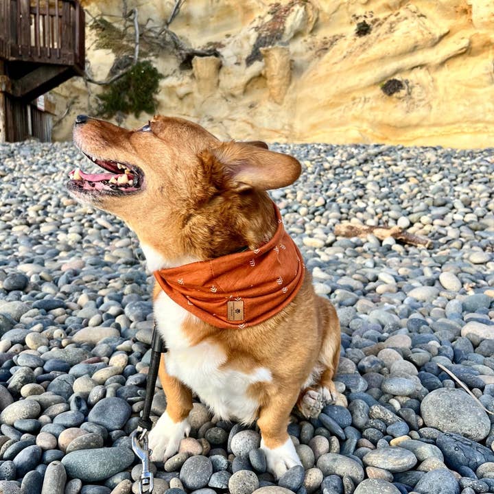 Stormi's Furever Friends - Wholesale Pet Bandana - Dog - Arrow Infinity Scarf4