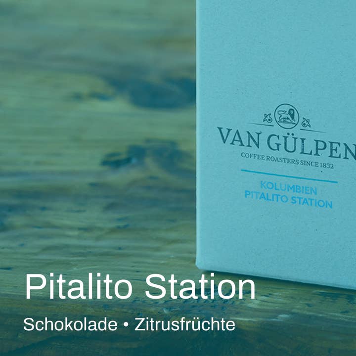 van Gülpen - Wholesale Coffee Beans - Columbia Pitalito Station1