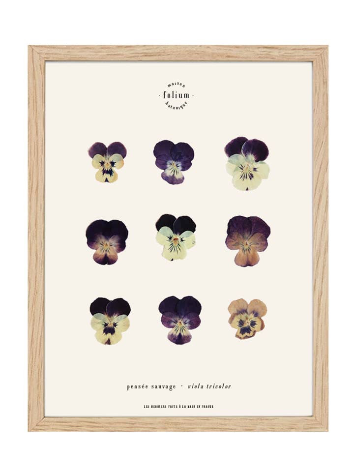 #10 · Wilde gedachte voor wholesale door Folium - Maison Botanique