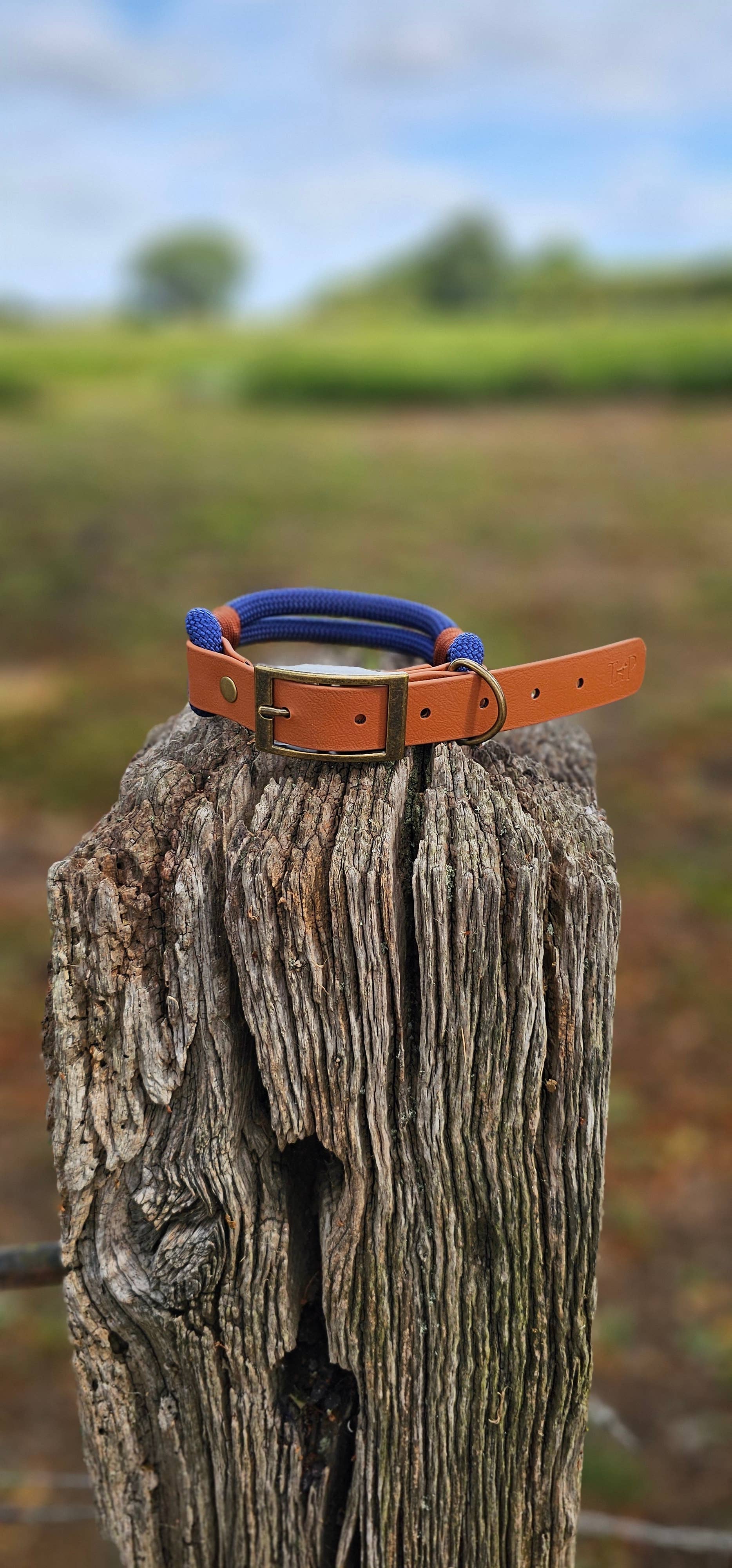 Trinkety Paws – wholesale Pet collar – Dog – Premium Rope Dog Collar &  Lead NAVY & LIGHT BROWN0