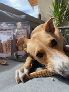 Woofing Wonders - Wholesale Hondenkoekjes - Hond - Haaienkraakbeen in bulk1