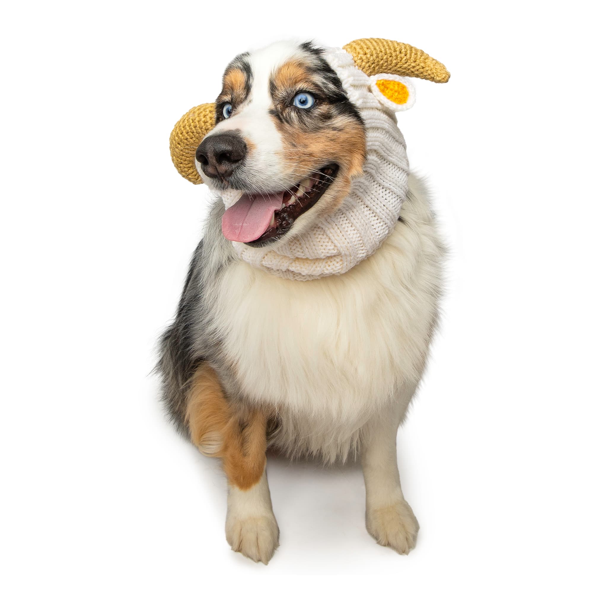 Zoo Snoods - Wholesale Pet Snood - Dog - Goat Ram Dog Snood2