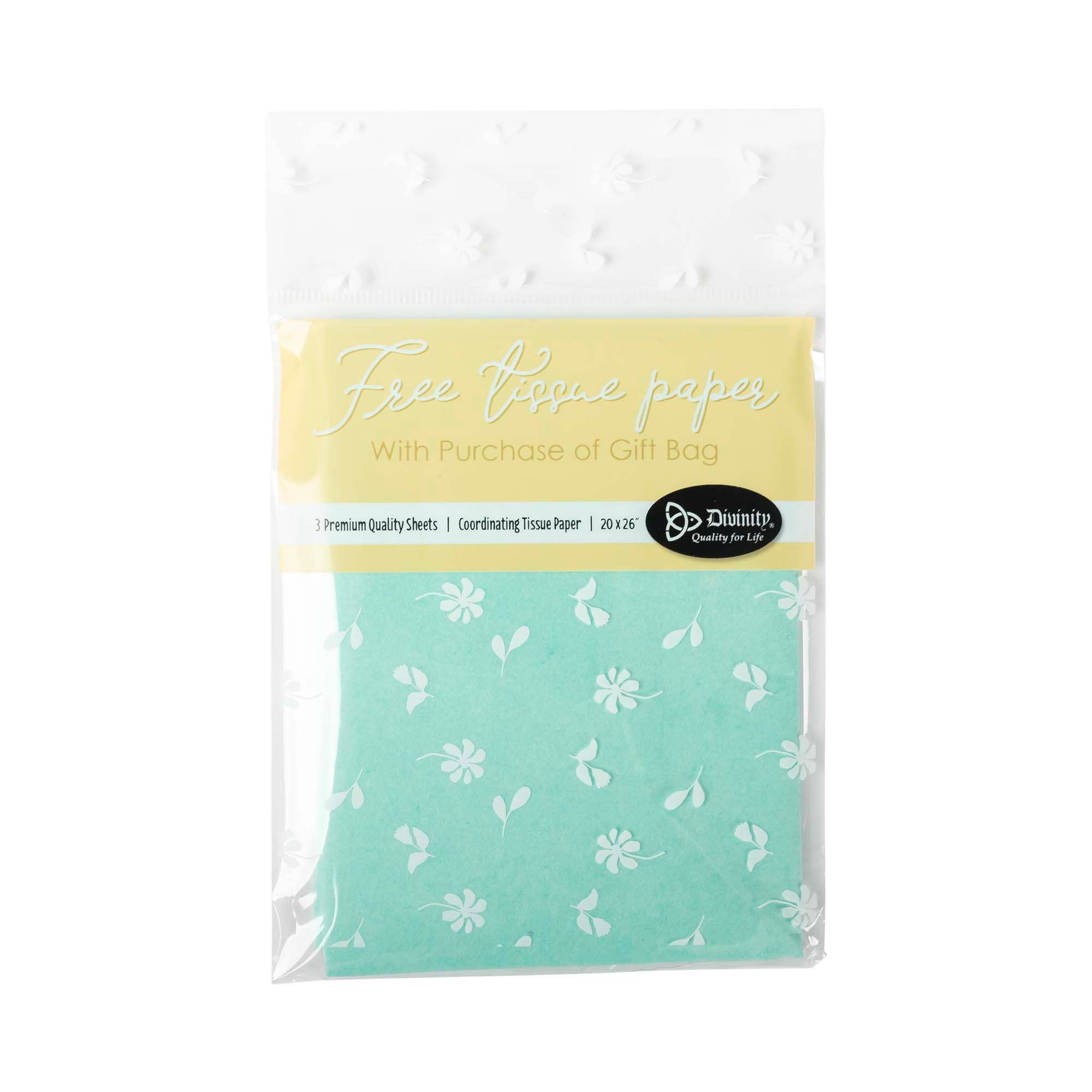 Divinity Boutique - Wholesale Gift Bag - Gift Bag: Blessed Beyond Measure8