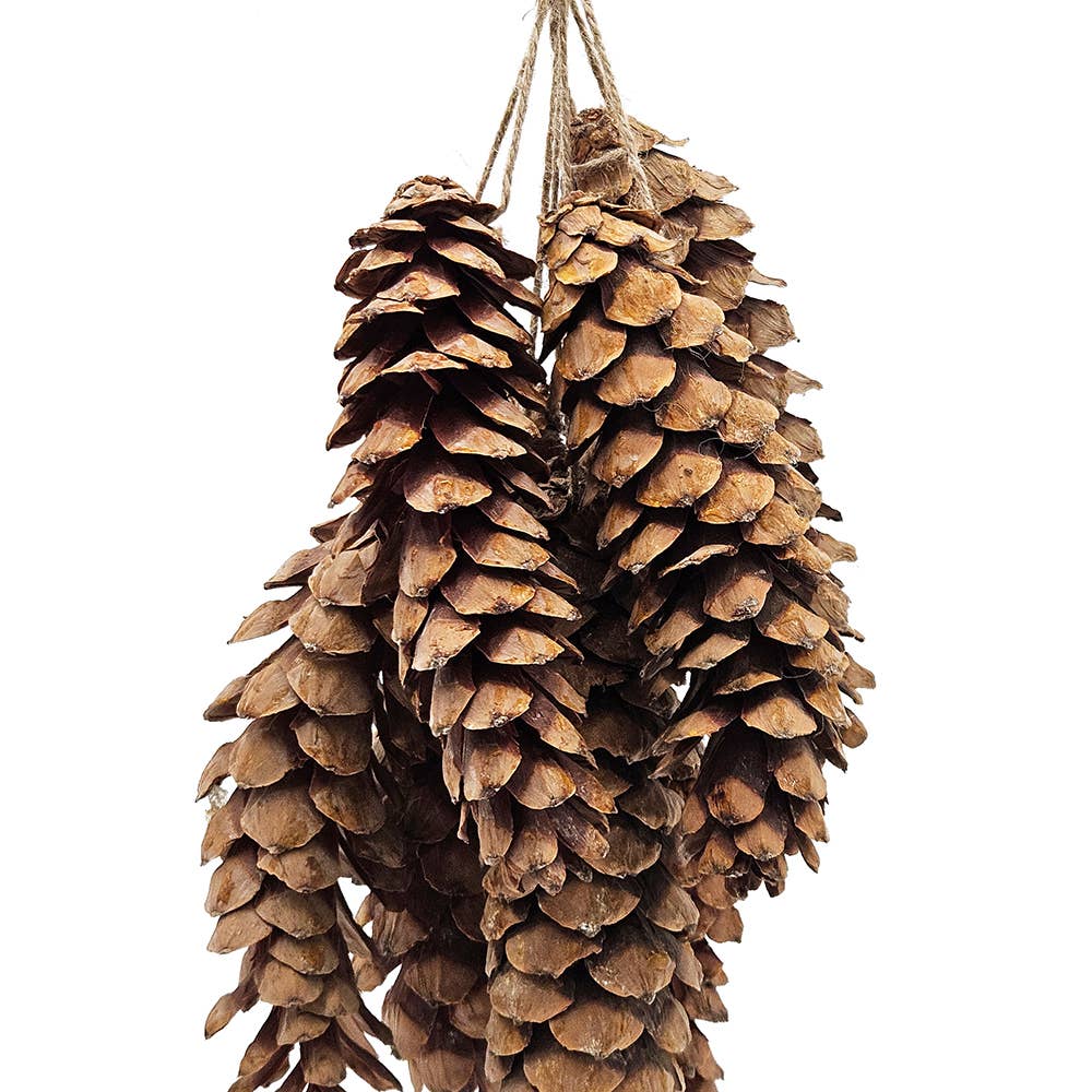 A&B Home Group Inc. - Vente Plantes artificielles - Grappe rustique de pommes de pin de 23,5" 8PC/paquet5