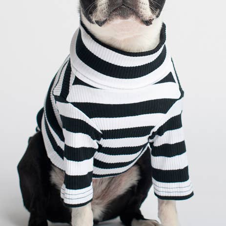 Night Out svart hundtröja för wholesale av BULLTUG