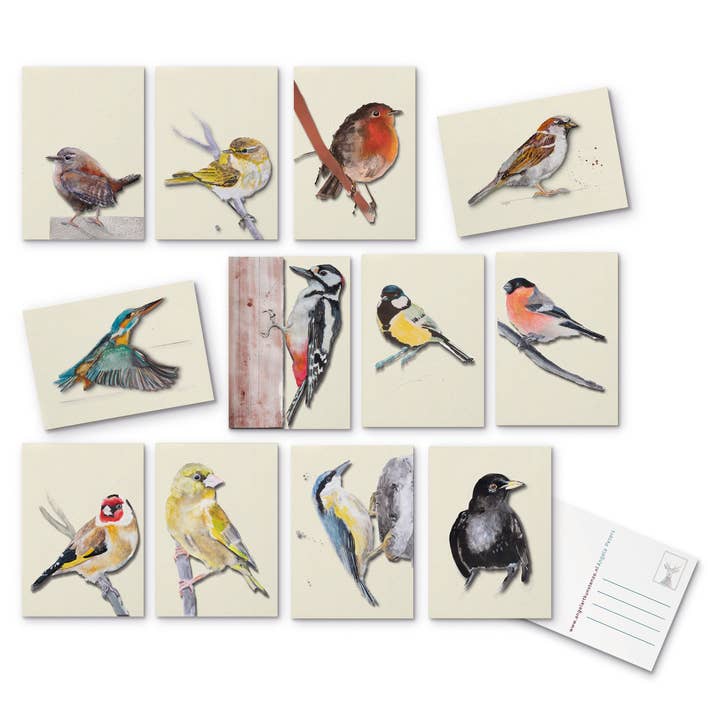 Studio Angelart - Wholesale Stationery/Notecard Set - Bird Greeting Cards Set - 12 pieces