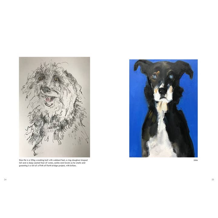 HarperCollins - Wholesale Pet Book - Rescue Dogs: Sally Muir5