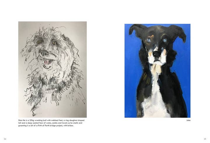 HarperCollins - Wholesale Pet Book - Rescue Dogs: Sally Muir5