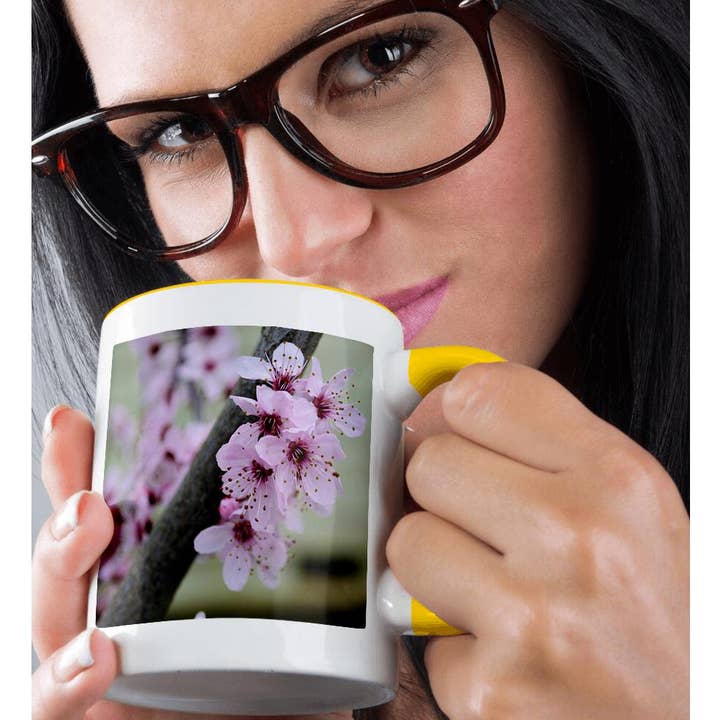 3dRose - Wholesale Coffee Mug - 3dRose, Pretty Spring Floral- Cherry Blossom Flowers- Photography, Mug1