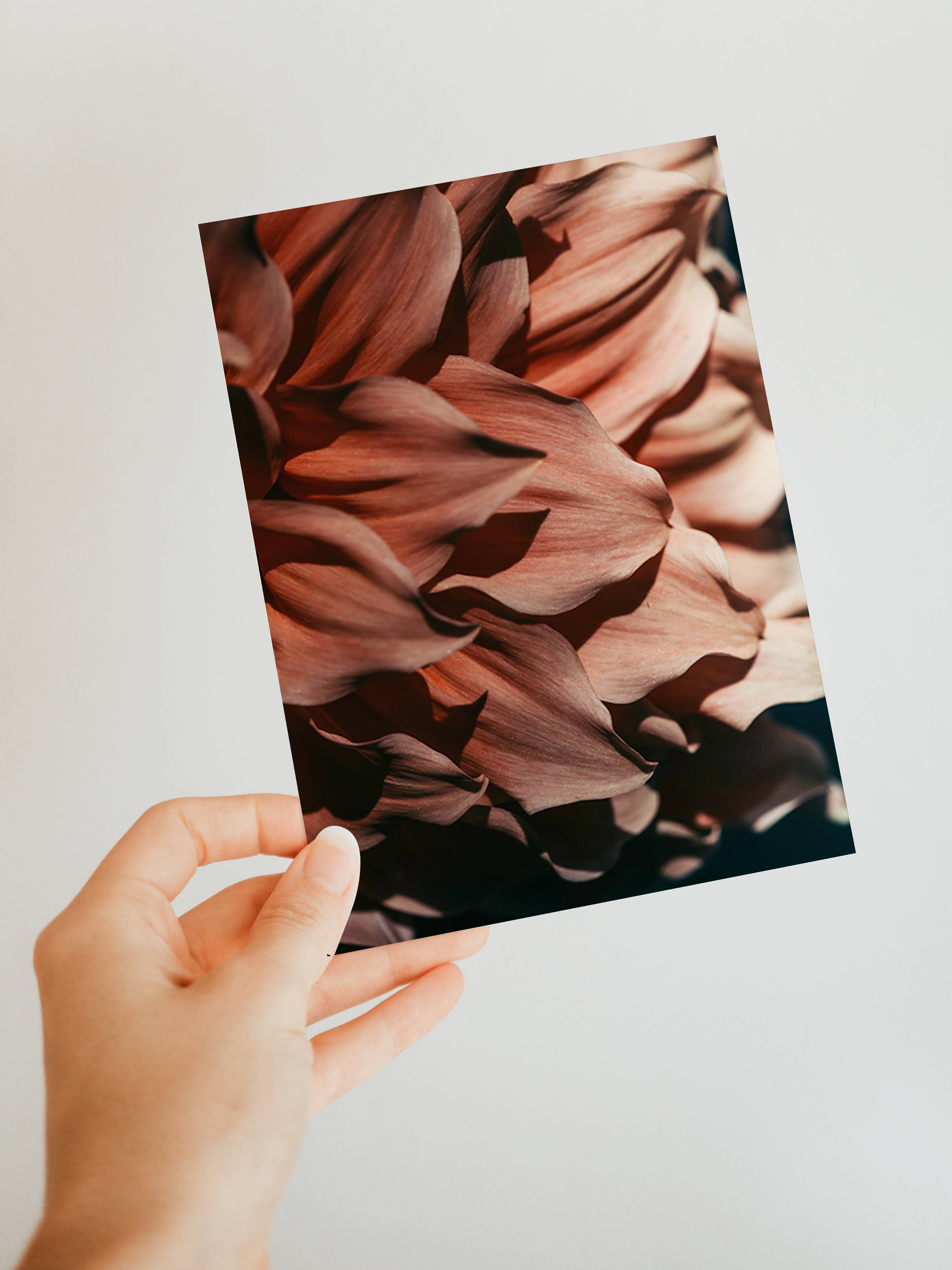 Alicia Bock Print Shop - Wholesale Stationery/Notecard Set - Blank Note Card - Drama Queen0