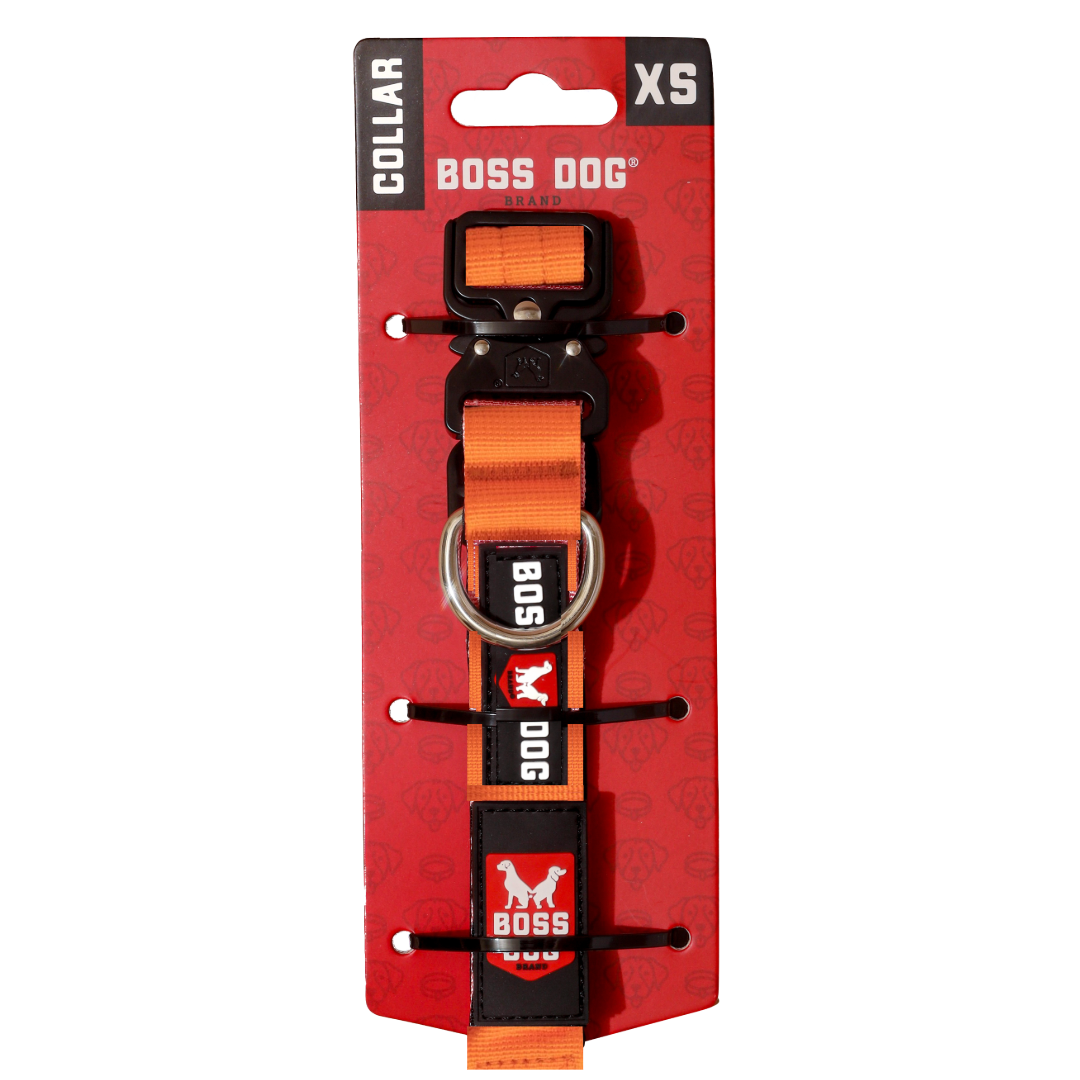 BOSS DOG BRAND, INC. - Wholesale Pet Collar - Dog - Boss Dog Collar12