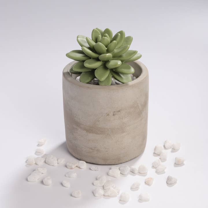 Pretty Valley Home - Wholesale Diffuser fragrance refill - Reed Diffuser Set Gypsum Succulent 3.38 FL OZ (100 ml)-SOC6