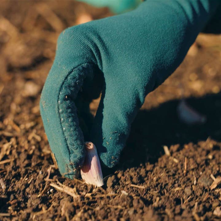 Long Foxgloves - high rise gardening gloves - ferngully for wholesale by higarden