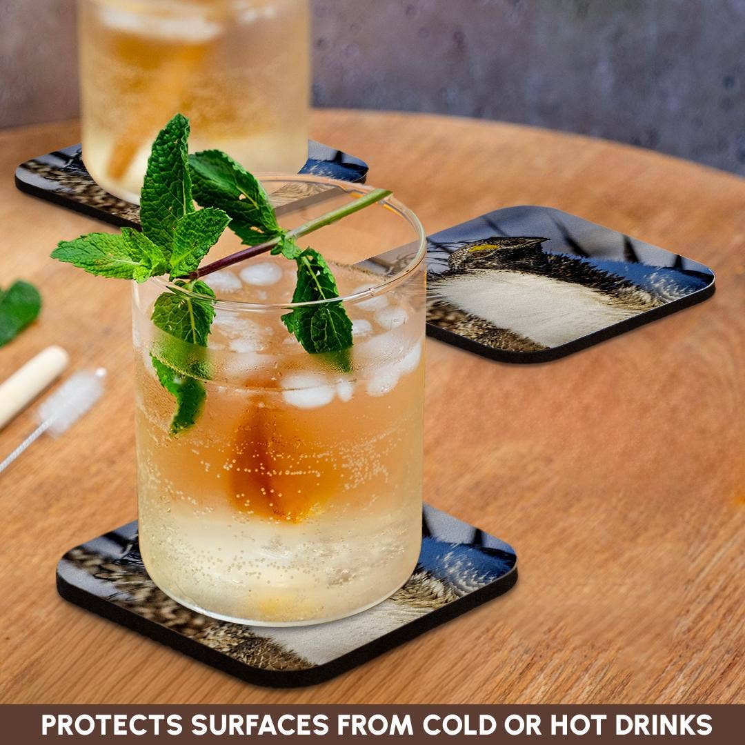 3dRose - Wholesale Coasters - 3dRose, USA, WY. Portrait of a male Greater Sage Grouse on a lek in Spring., Coaster9