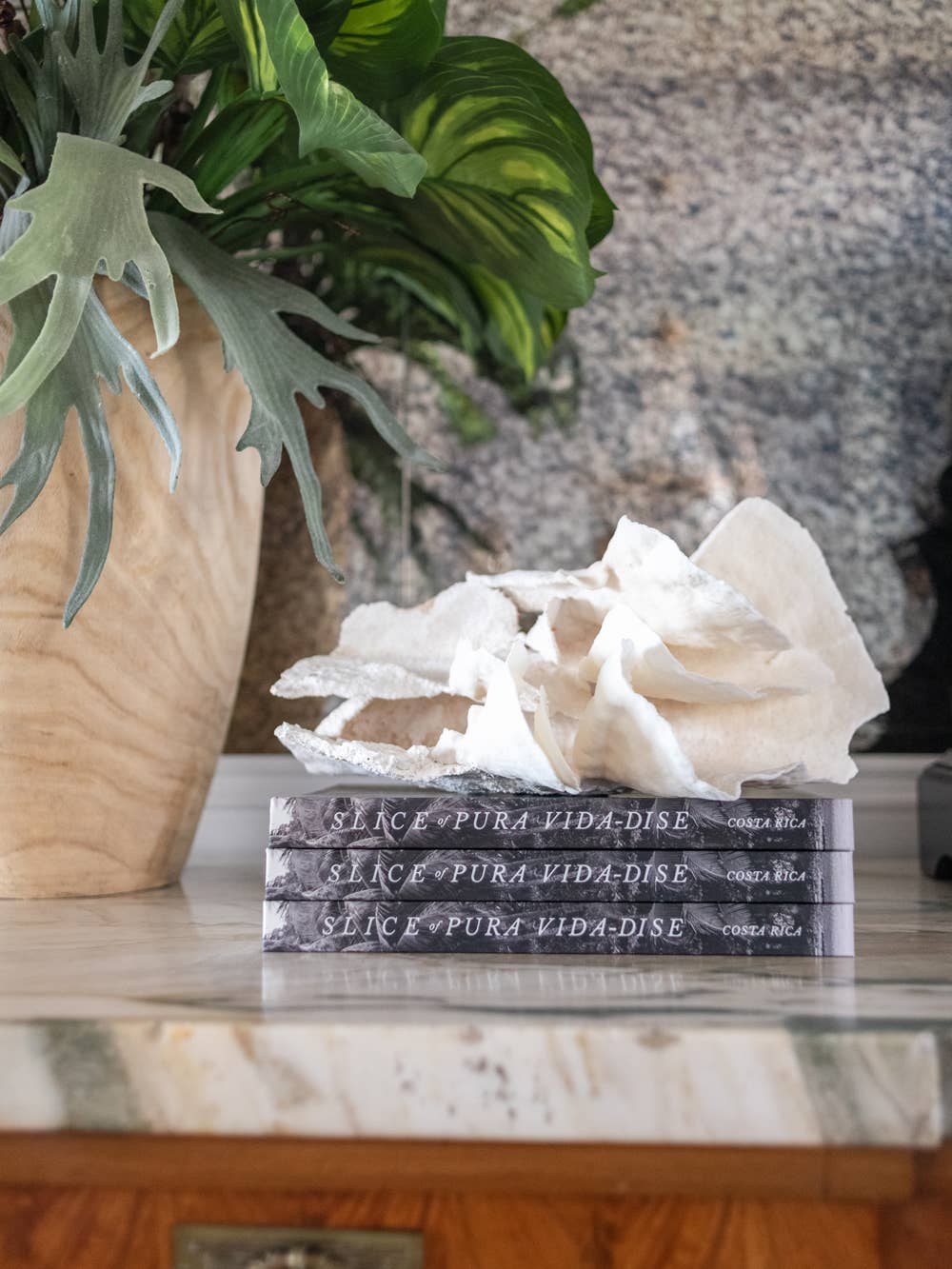 The Sunset Shop - Wholesale Display Book - Costa Rica Coffee Table Book - SLICE OF PURA VIDA-DISE11