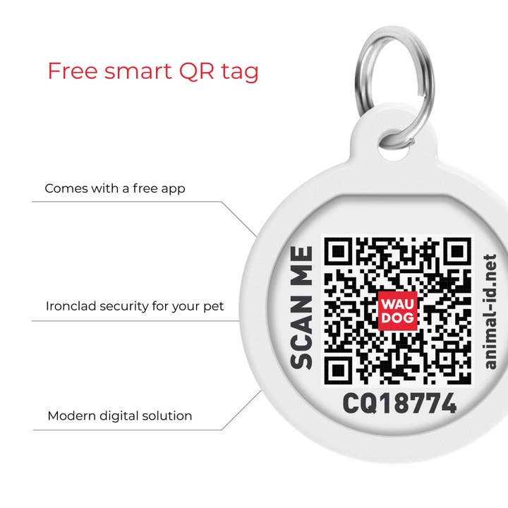 WAUDOG - Wholesale Pet Collar - Dog - Glamour Reinforced Rolled Leather Collar With Metal Clasp13