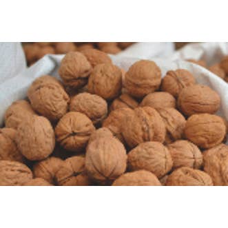 Finca La Noguera - Wholesale Nuts - Net whole walnuts 500g1