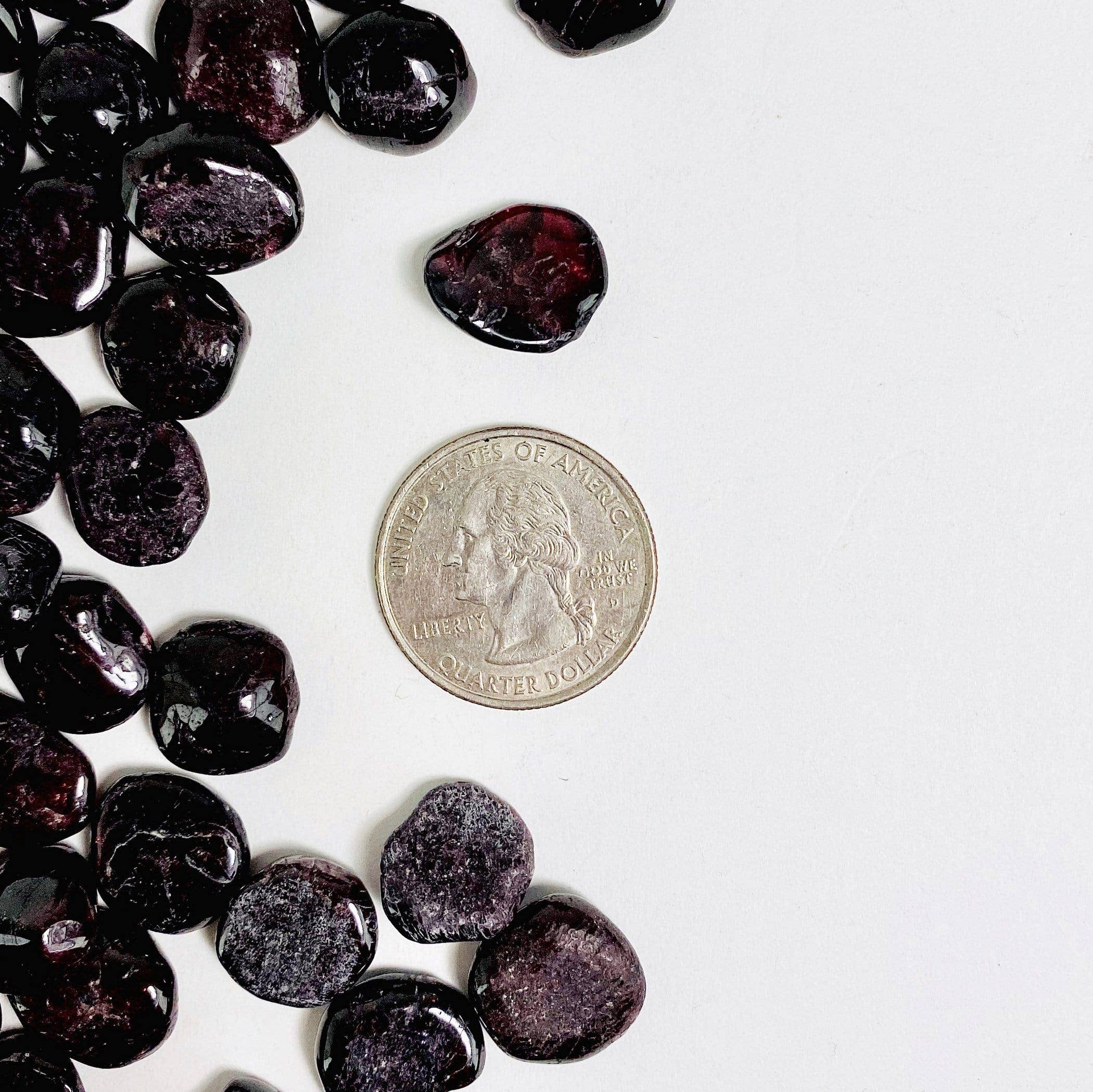 Rock Paradise - Vente Pierre et cristal de spiritualité - Puces Crystal Garnet 1 lb (TS-185)3