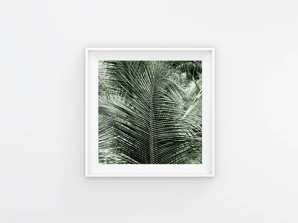 Veni Etiam Photography - Wholesale Art Print - Palm Tree Boho Wall Art6