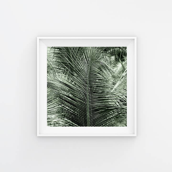 Veni Etiam Photography - Wholesale Art Print - Palm Tree Boho Wall Art6