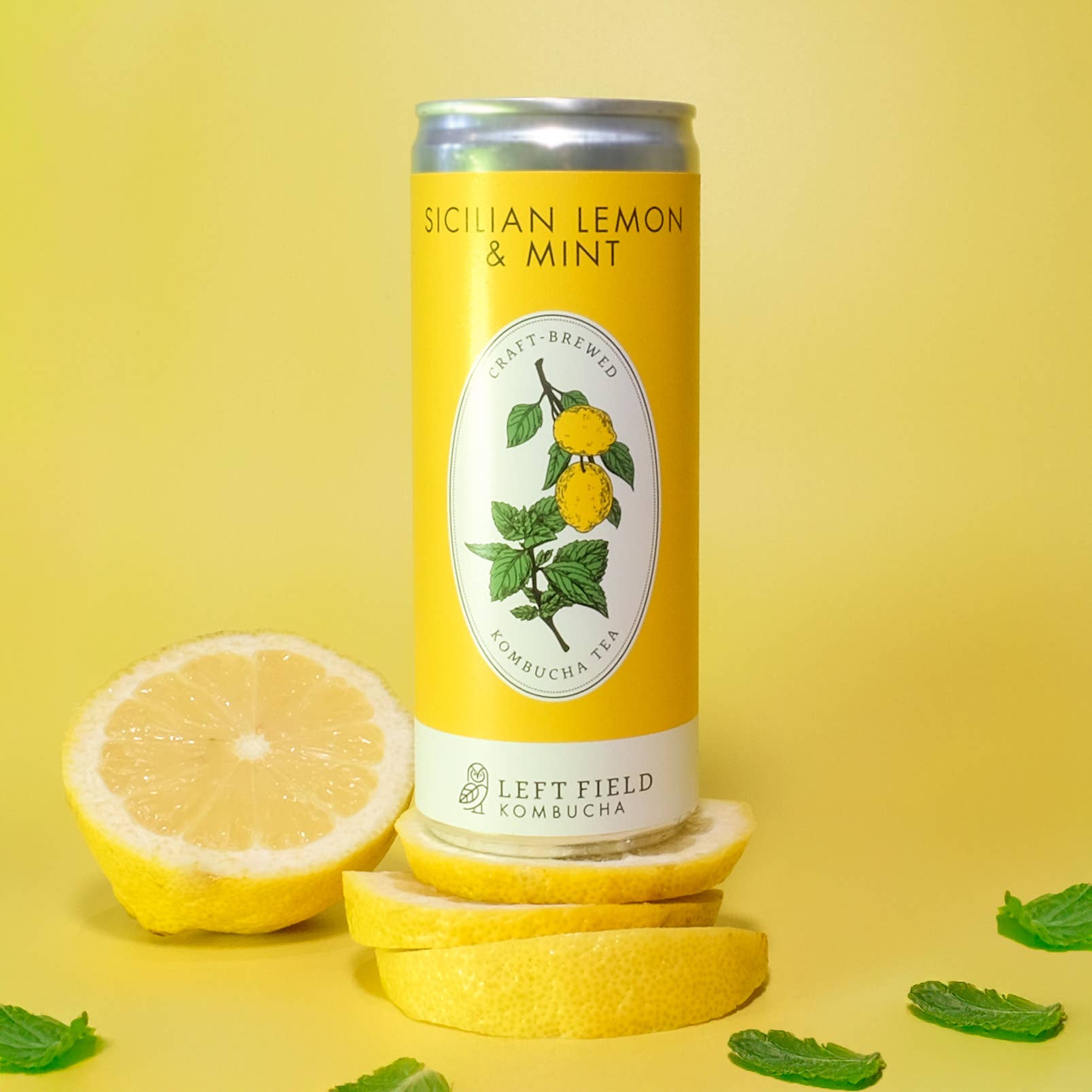 Left Field Kombucha – Großhandel Kombucha – Sizilianische Zitrone & Minze