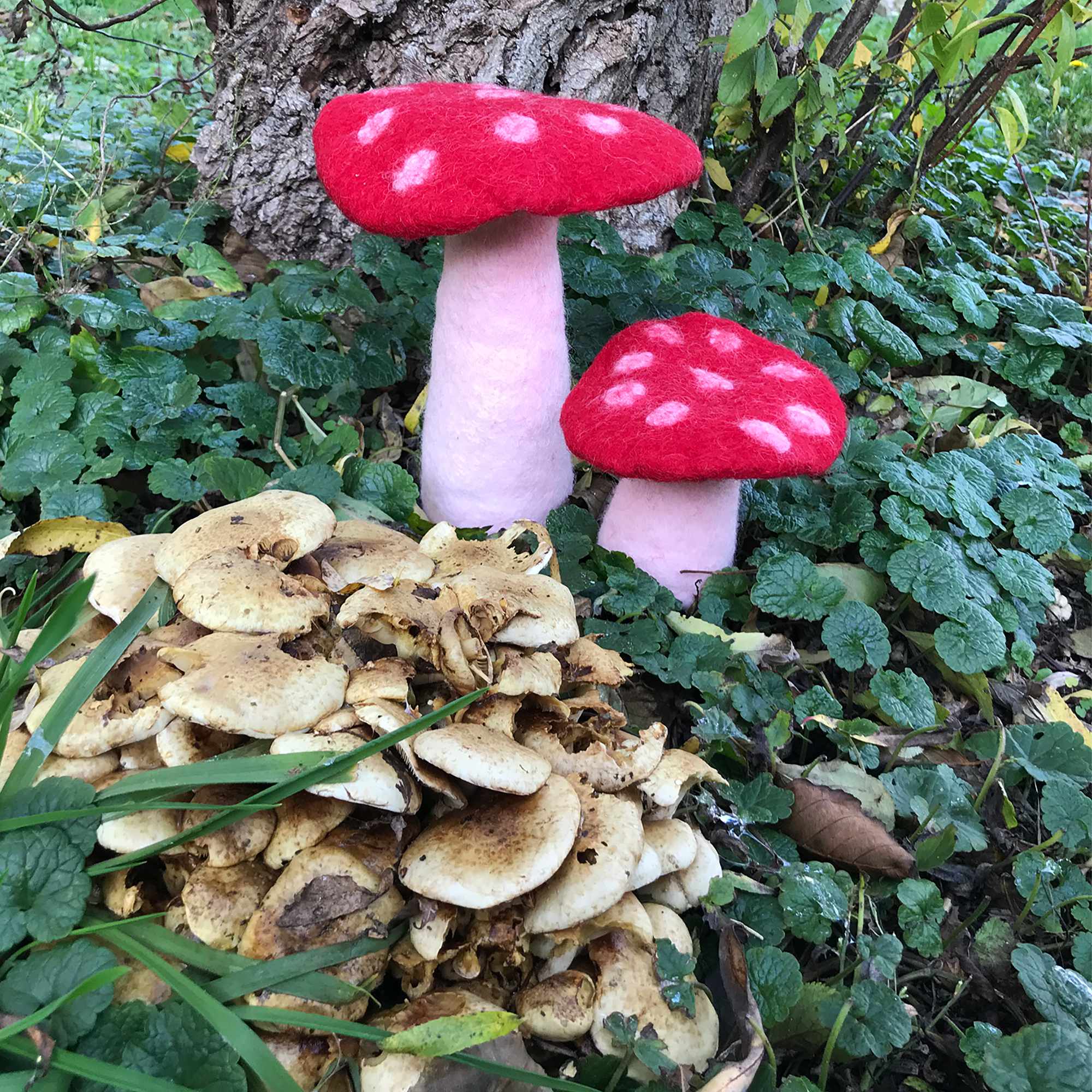 Tribal Trade GmbH - Vendita all'ingrosso Statuette decorative - Fungo amanita muscaria in feltro rosso, disponibile in 3 dimensioni8