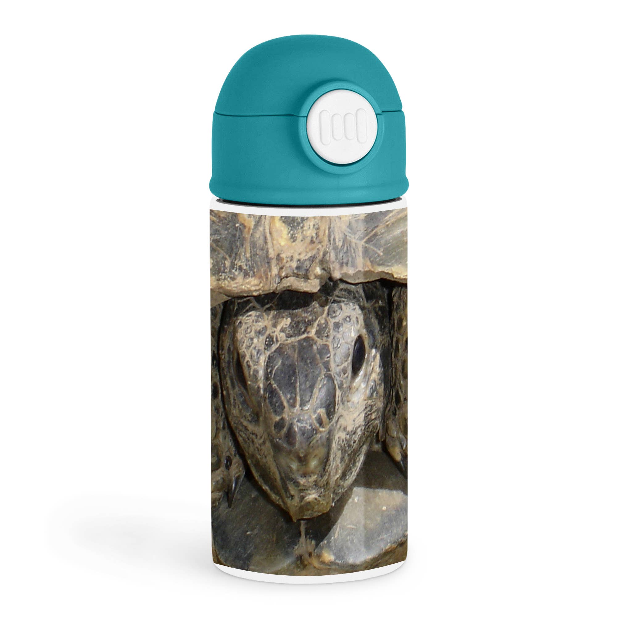 3dRose - Wholesale Water Bottle - 3dRose, Tortoise Portrait - animals, ibera greek tortoise, land turtles, reptiles, testudo ibera, tortoise, Kids Water Bottle0