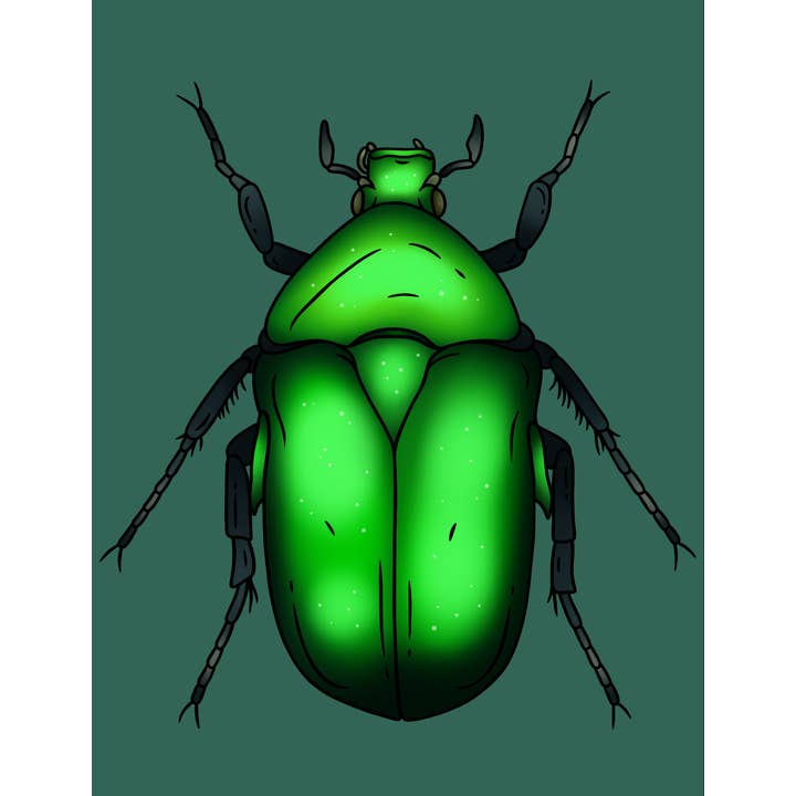 Cards by Dé – wholesale Vardagliga hälsningskort – Iskiopsopha (Bettle)