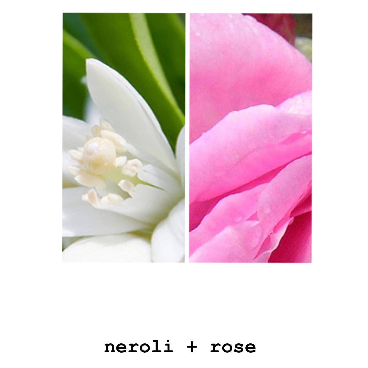 MODM – wholesale Body wash/shower gel – MODM Hand + Body Wash - Neroli + Rose2