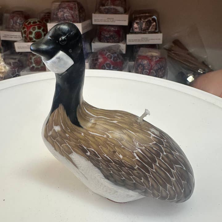 Canada Goose for wholesale by Alans Candle