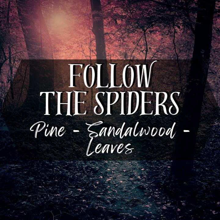 Three T Creations - Wholesale Car Freshener - Unisex - Wizard School Year 2 Car Diffusers2