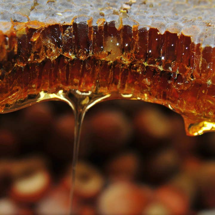 Zayti L.T.D.M – wholesale Honung – Turkisk Anzer-honung från Rize-platån 300g8