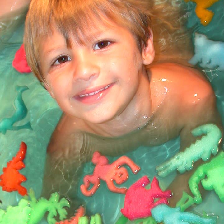 The Bean People - Wholesale Bath Toy - Baby - Bath Beans - Dinosaurs2