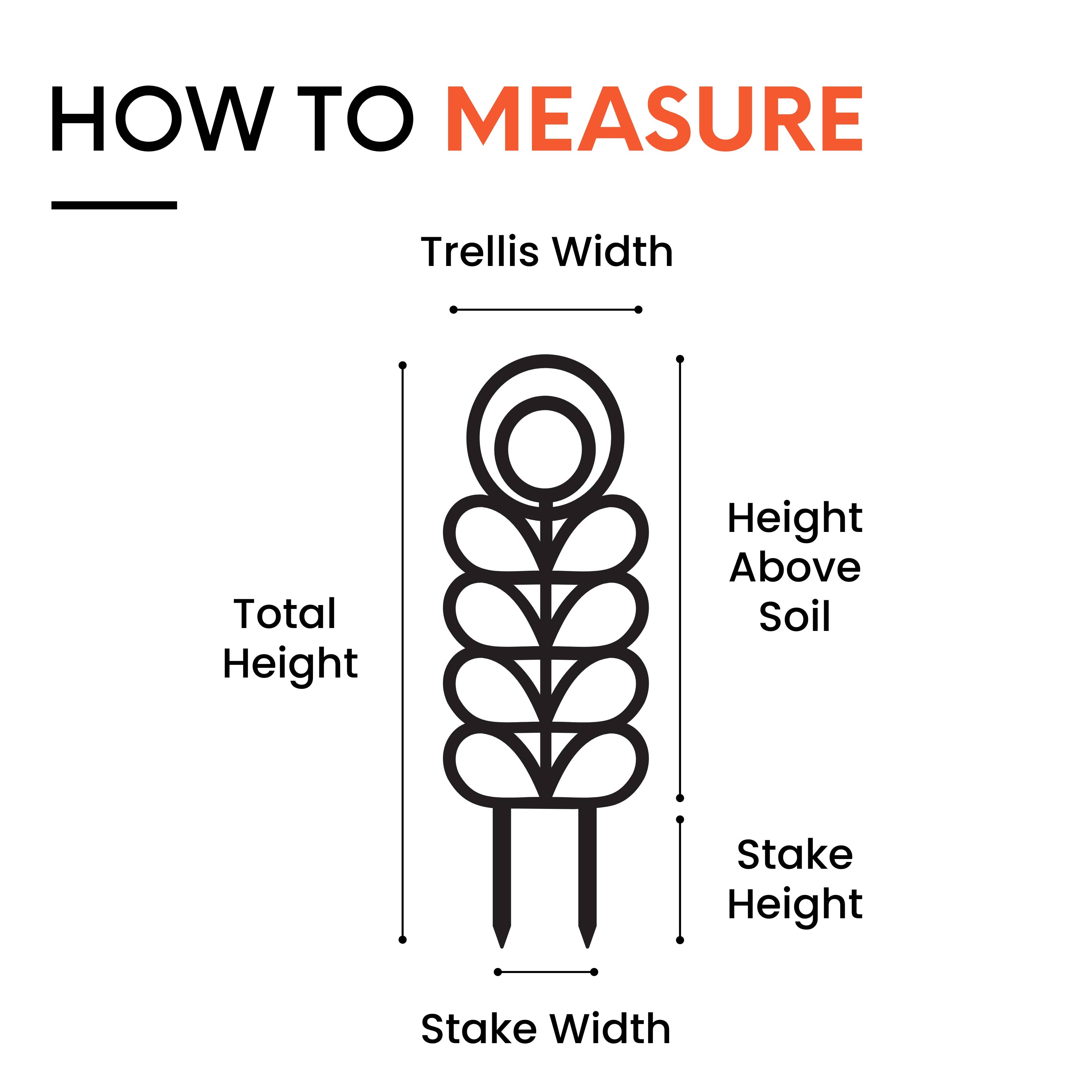 Leaf & Node - Vente Treillis - Treillis pour plantes d'intérieur en bois de style MCM (Zinnia - 2 tailles)3