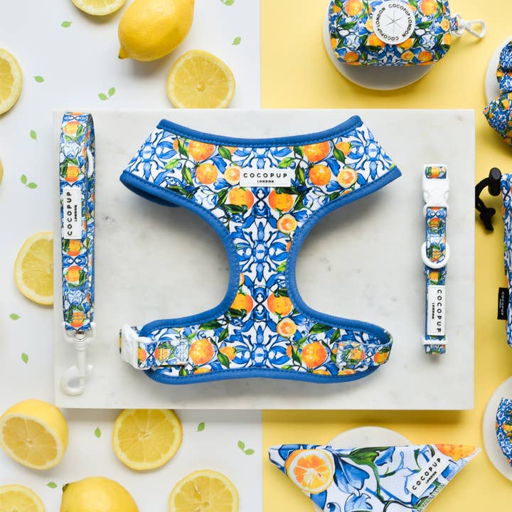 Cocopup London - Wholesale Pet Harness - Dog - Amalfi Lemon Adjustable Neck HARNESS