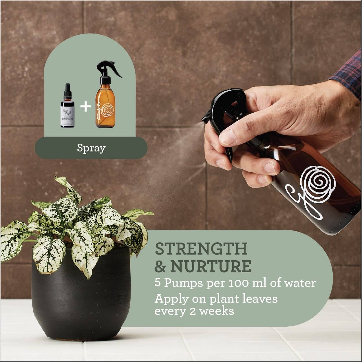 Generosa – Fertilizante por atacado – FERTILIZANTE LÍQUIDO ORGÂNICO | Alimento Vegetal Extrato de Algas Marinhas 50 ml4