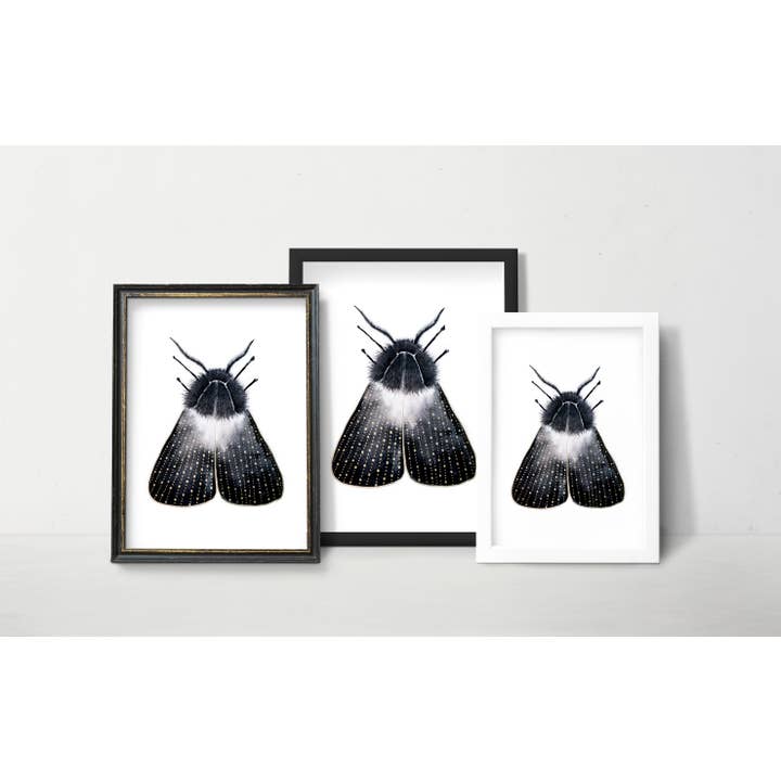 The Flow Design - Venta al por mayor Ilustración - Póster con estampado de polillas, mariposas y mariposas, arte de pared