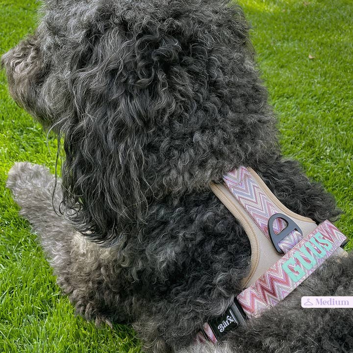 Barx - Wholesale Pet Harness - Dog - Adventure Air Harness | Missoni5