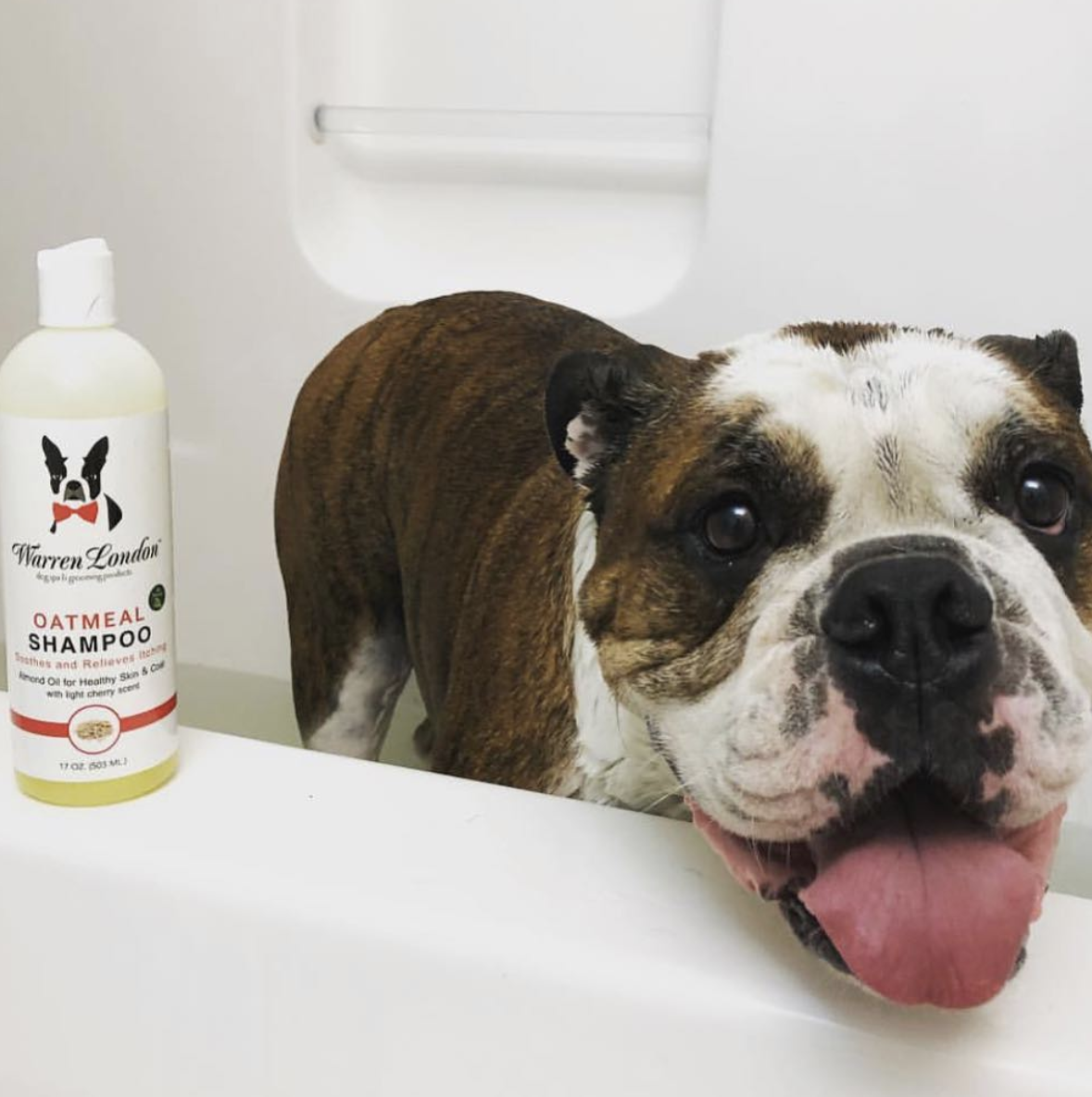 Warren London Dog Products – Engroshandel Shampoo - Hund – Shampoo: Havregryn - 2 Størrelser5