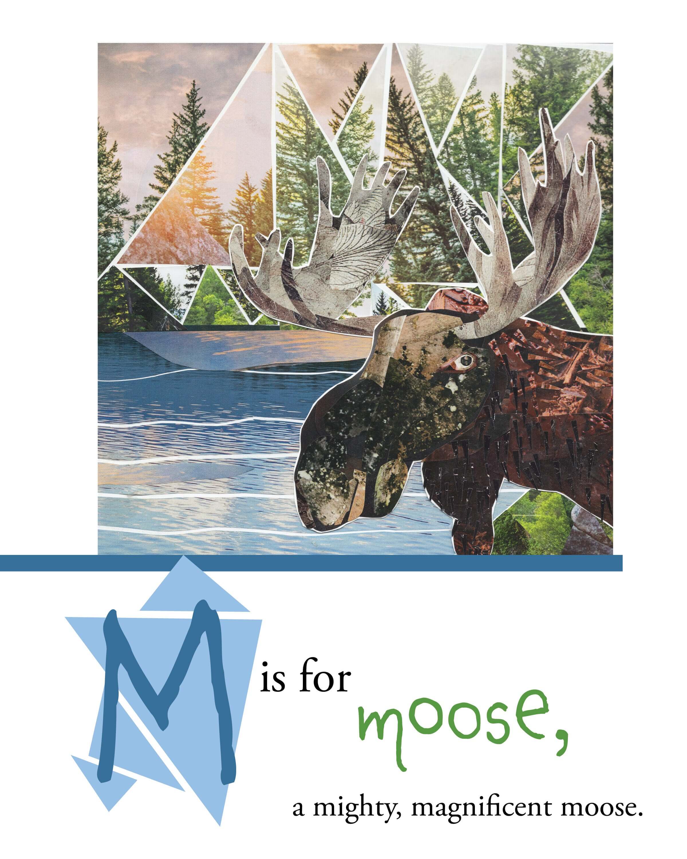 more the merrlier - Wholesale Preschool Book (3-5) - Animal ABCs Children's Book3