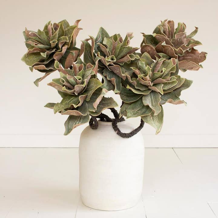 Multi BOTANICA #2809 for wholesale on Faire2