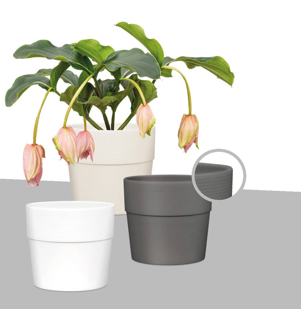 Scheurich - Wholesale Plant Pot - Groove 224 plastic flower pot/planter3